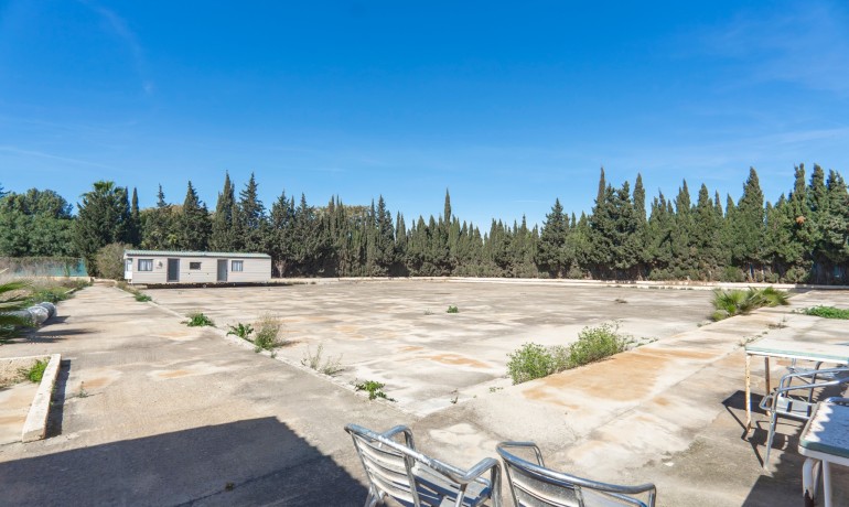 Herverkoop - Finca / Landgoed -
Los Montesinos* - Los Montesinos - Country