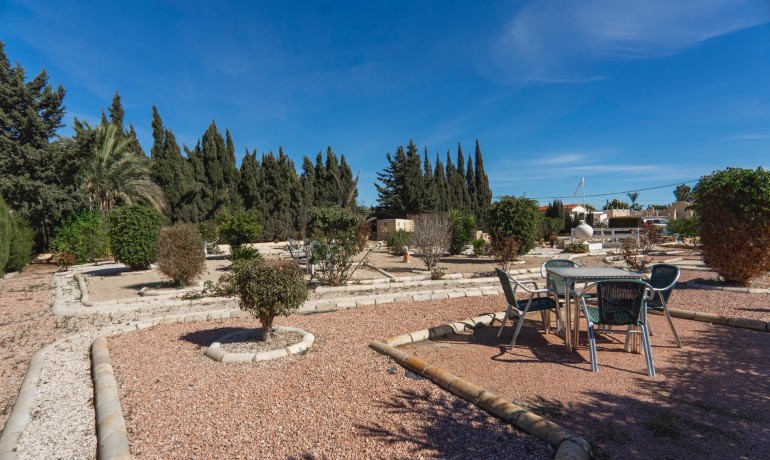 Herverkoop - Finca / Landgoed -
Los Montesinos* - Los Montesinos - Country