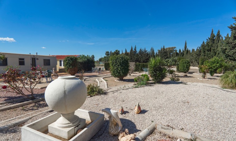 Herverkoop - Finca / Landgoed -
Los Montesinos* - Los Montesinos - Country