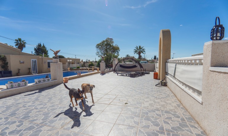 Herverkoop - Finca / Landgoed -
Los Montesinos* - Los Montesinos - Country