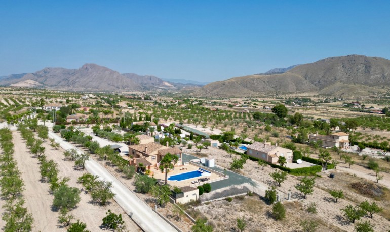 Herverkoop - Villa -
Hondon de los frailes - Hondon de los Frailes*