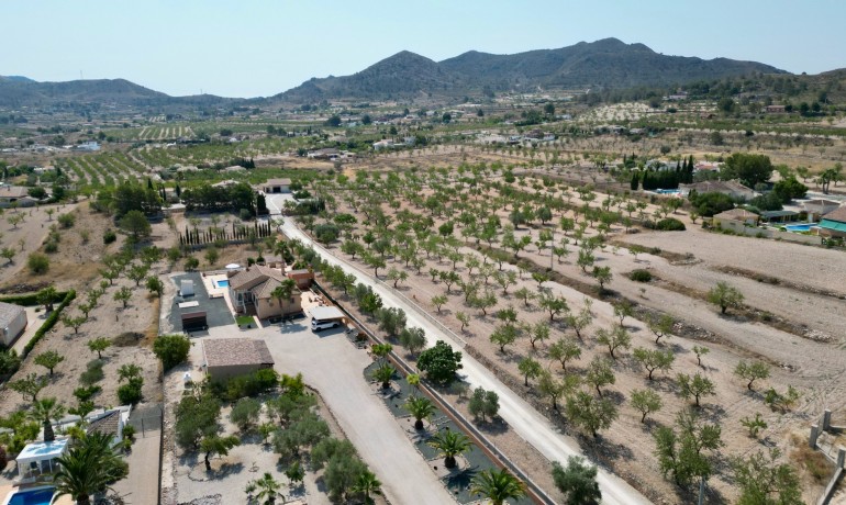 Herverkoop - Villa -
Hondon de los frailes - Hondon de los Frailes*