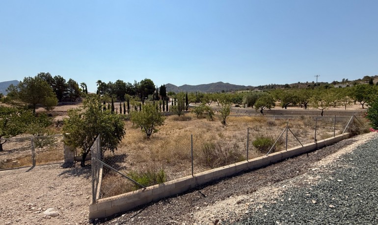 Herverkoop - Villa -
Hondon de los frailes - Hondon de los Frailes*