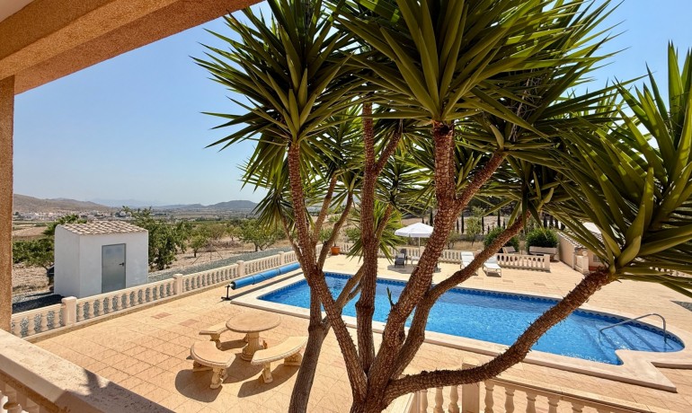 Herverkoop - Villa -
Hondon de los frailes - Hondon de los Frailes*