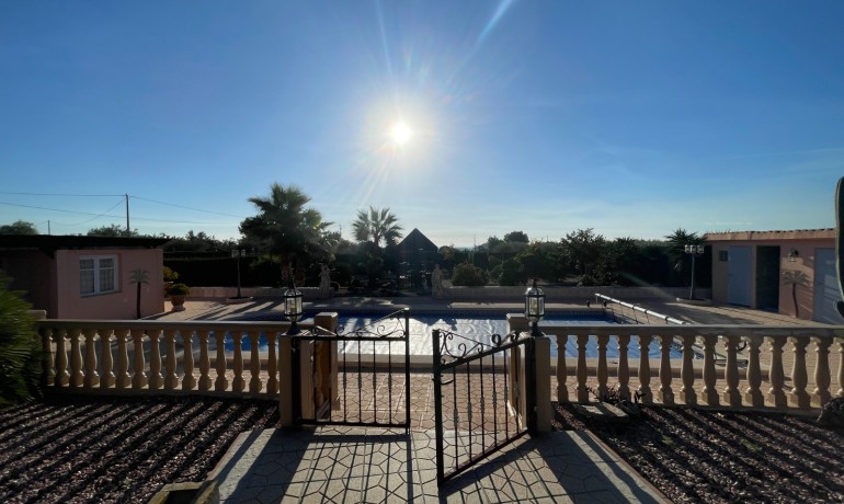 Venta - Finca -
Crevillente