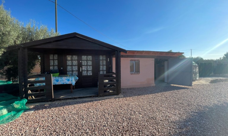 Venta - Finca -
Crevillente