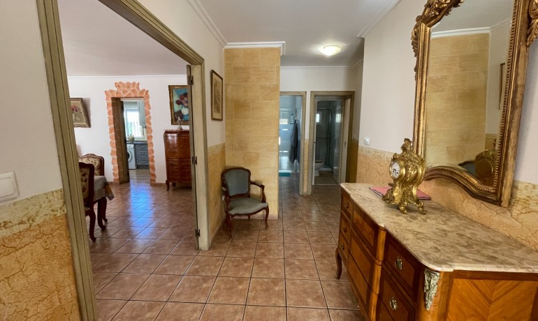 Venta - Finca -
Crevillente