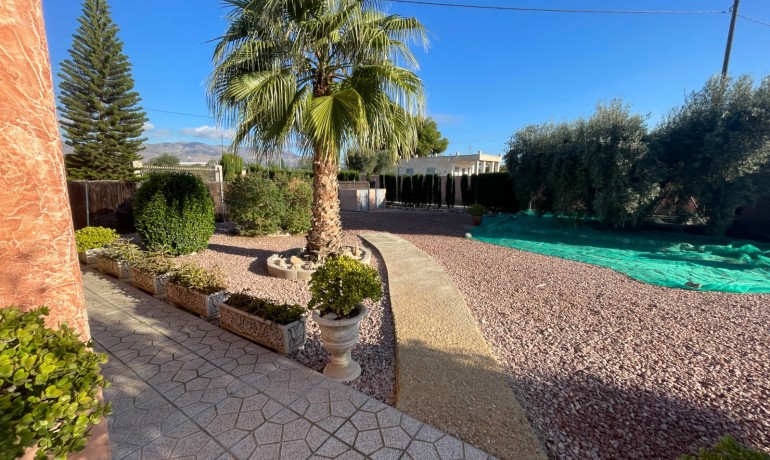 Venta - Finca -
Crevillente