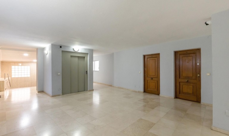 Herverkoop - Appartement / Flat -
Torrevieja* - Habaneras