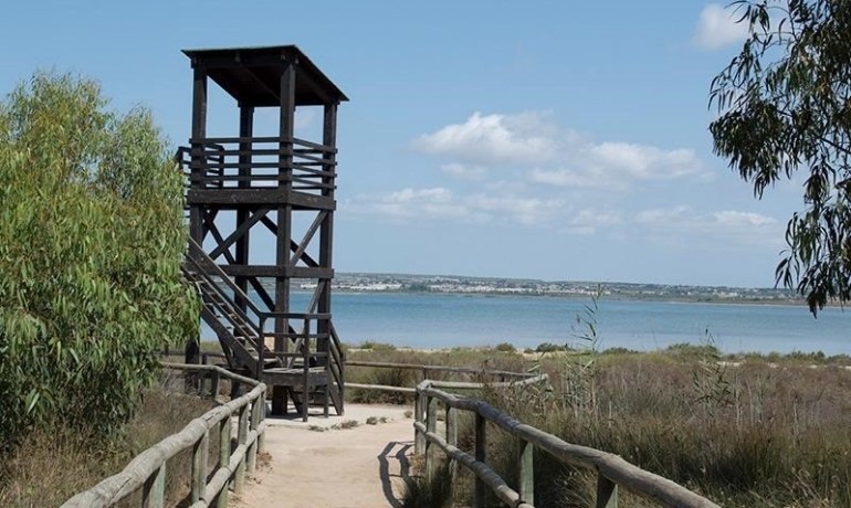 Herverkoop - Appartement / Flat -
La Mata - La Mata - Town