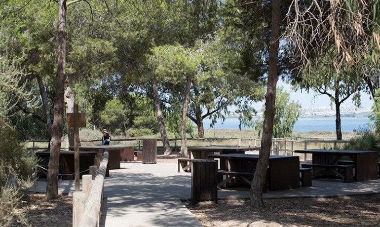 Herverkoop - Appartement / Flat -
La Mata - La Mata - Town