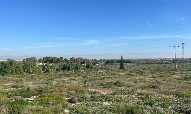 Venta - Casa -
Algorfa