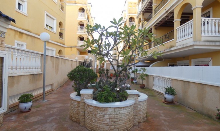Herverkoop - Appartement / Flat -
Algorfa* - Algorfa