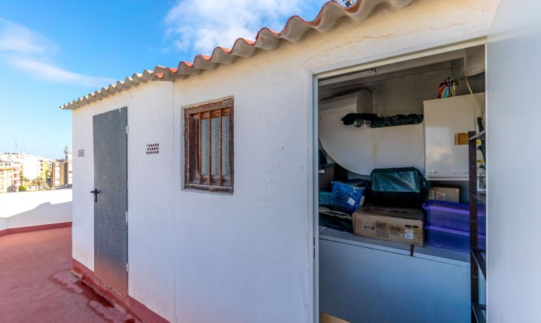 Herverkoop - Appartement / Flat -
Torrevieja* - Torrevieja - Centre