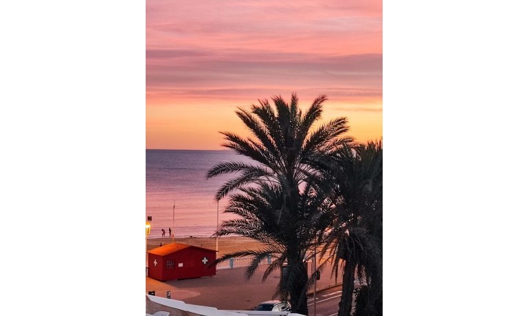 Venta - Apartamento / piso -
Torrevieja