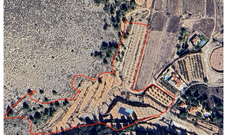 New Build - Villa -
La Romana