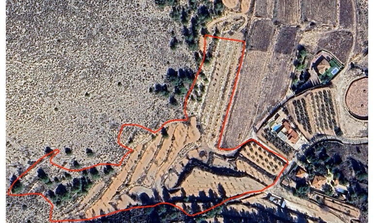 New Build - Villa -
La Romana