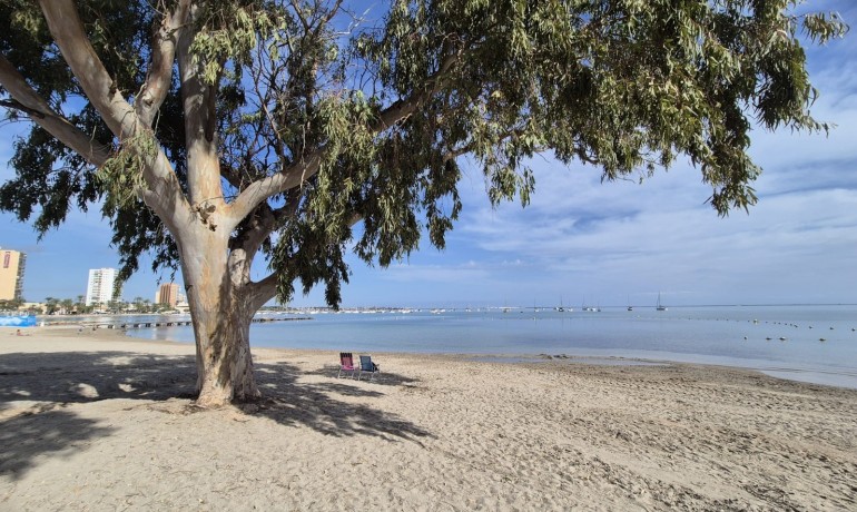 Herverkoop - Villa -
Santiago de La Ribera - Santiago de La Ribera - Town