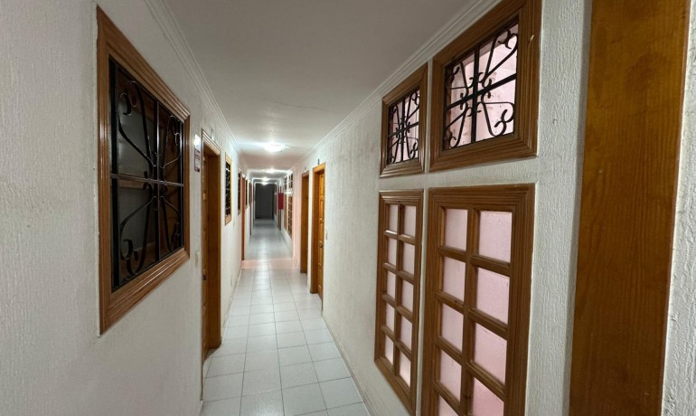 Herverkoop - Appartement / Flat -
Torrevieja* - Estacion de autobuses