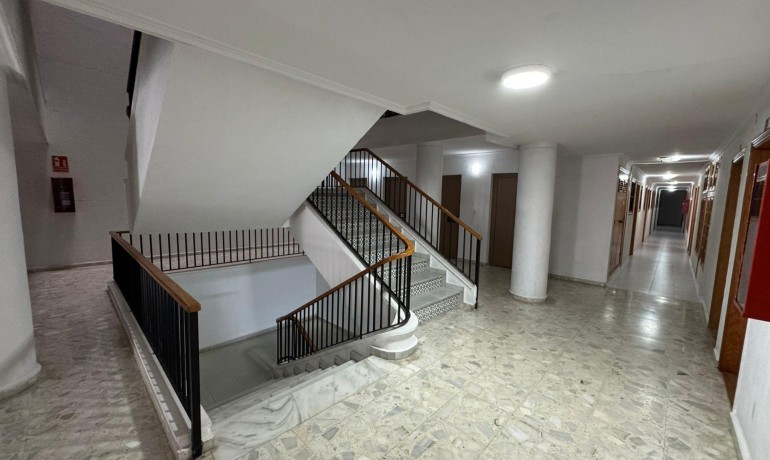 Herverkoop - Appartement / Flat -
Torrevieja* - Estacion de autobuses