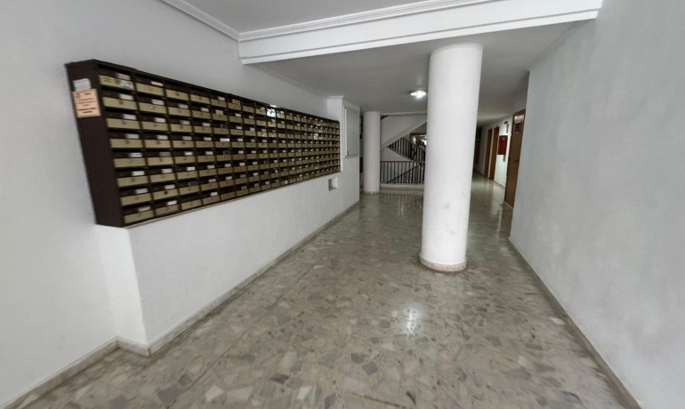 Herverkoop - Appartement / Flat -
Torrevieja* - Estacion de autobuses