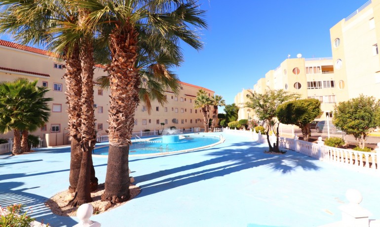 Herverkoop - Appartement / Flat -
Torrevieja - San Luis