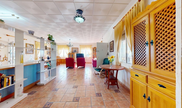 Revente - Villa -
Crevillente