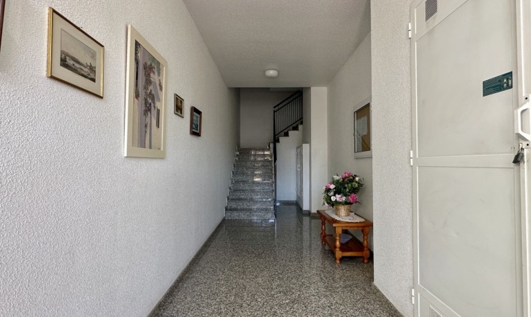 Herverkoop - Appartement / Flat -
Orihuela - Playa Flamenca