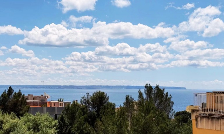 Herverkoop - Appartement / Flat -
Palma - Sant Agustí