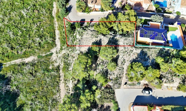 Revente - Plot -
San Miguel de Salinas* - San Miguel De Salinas