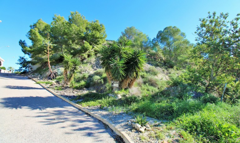 Revente - Plot -
San Miguel de Salinas* - San Miguel De Salinas