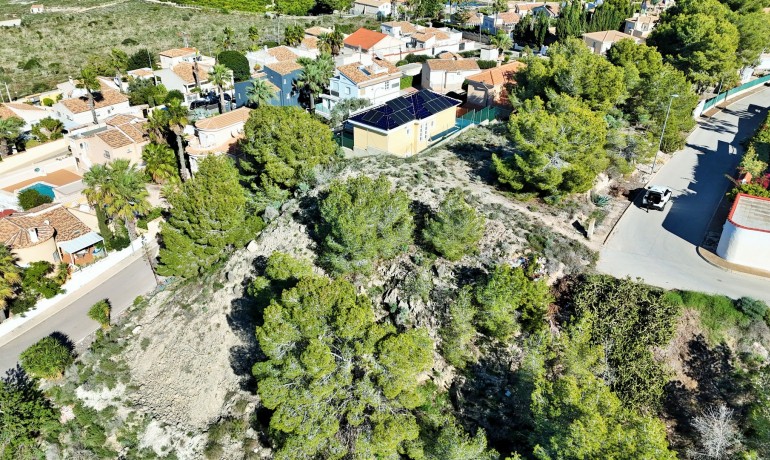 Revente - Plot -
San Miguel de Salinas* - San Miguel De Salinas