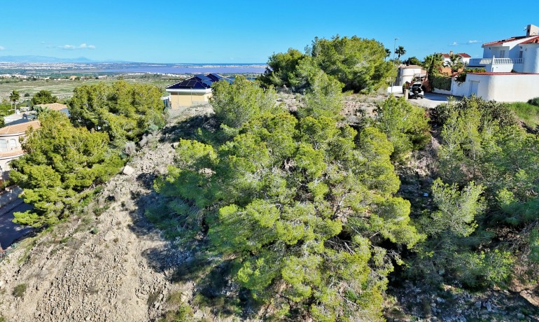 Revente - Plot -
San Miguel de Salinas* - San Miguel De Salinas