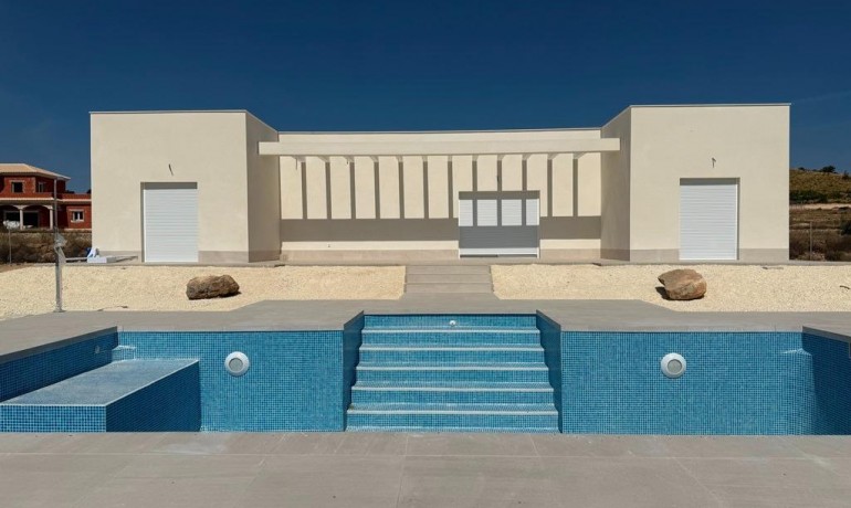 Nueva construcción  - Villa -
Pinoso - Camino Del Prado