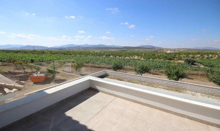 Nieuwbouw - Villa -
Pinoso* - Camino Del Prado