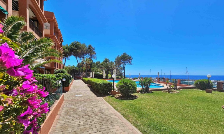 Herverkoop - Appartement / Flat -
El Toro - Calvià