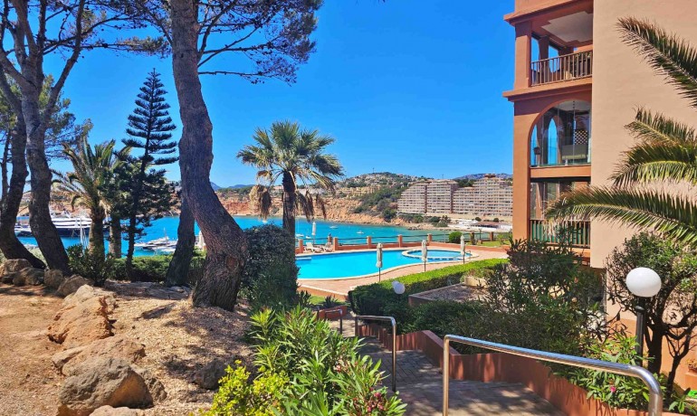 Herverkoop - Appartement / Flat -
El Toro - Calvià