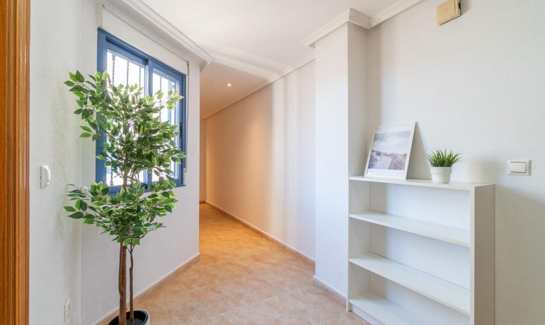 Herverkoop - Appartement / Flat -
Torrevieja* - Centro