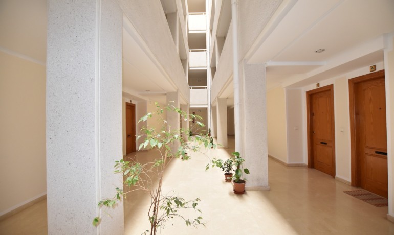 Herverkoop - Appartement / Flat -
La Mata - La Mata - Town