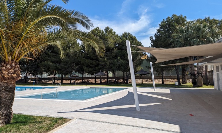 Sale - Apartment / Flat -
Algorfa* - Algorfa