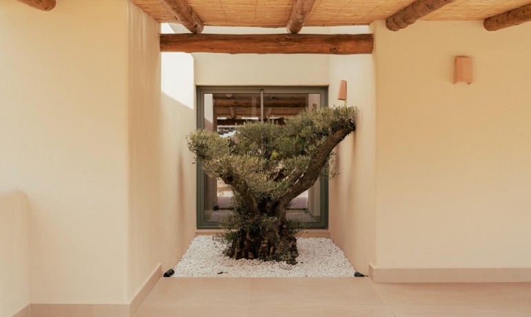 Nouvelle construction - Villa -
Javea* - Valle del Sol