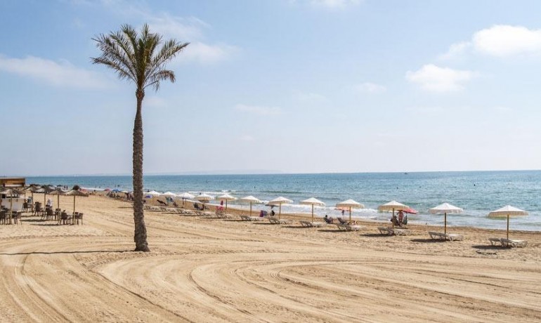 Nouvelle construction - Appartement / Flat -
Guardamar del Segura* - Pueblo