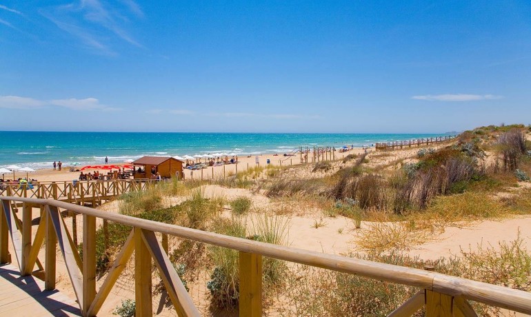 Nouvelle construction - Appartement / Flat -
Guardamar del Segura* - Pueblo