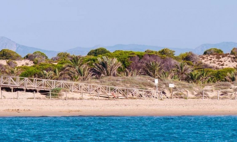 Nouvelle construction - Appartement / Flat -
Guardamar del Segura* - Pueblo