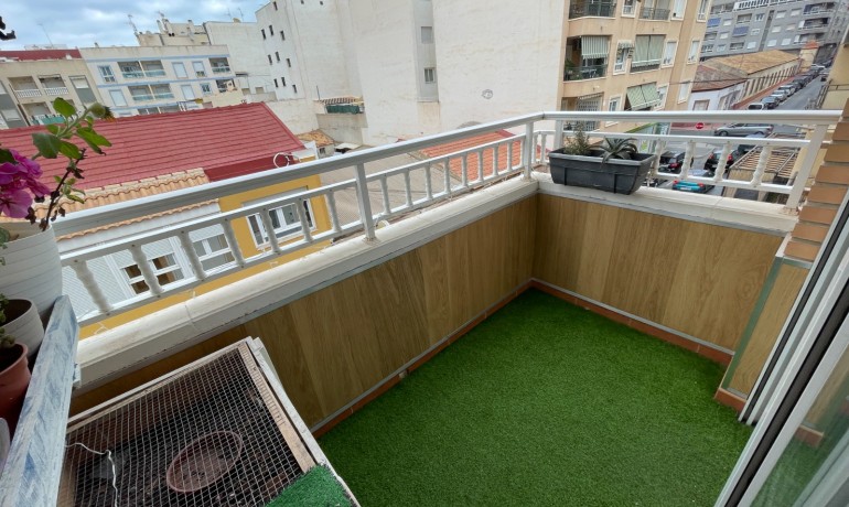Venta - Apartamento / piso -
Torrevieja - Torrevieja Alicante