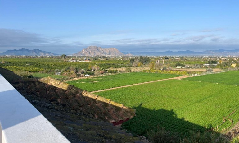 Revente - Appartement / Flat -
Algorfa* - Algorfa