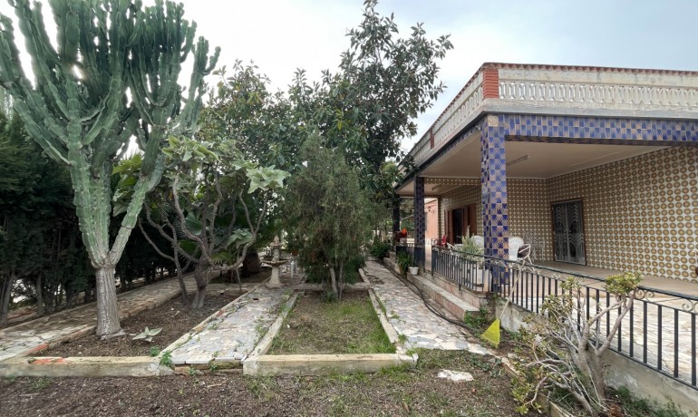 Venta - Villa -
Elche
