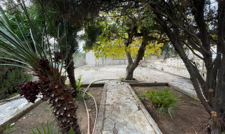 Venta - Villa -
Elche