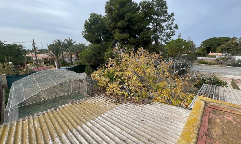 Venta - Villa -
Elche