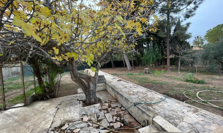 Venta - Villa -
Elche